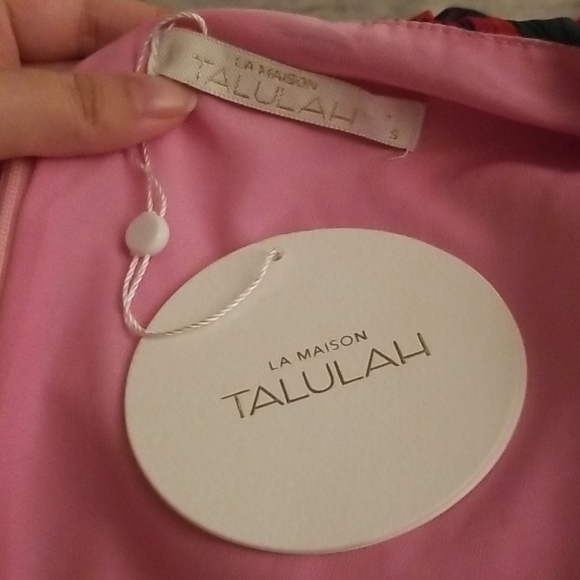 TALULAH Sugar and Spice Pleated Mini Dress - Picture 4 of 16